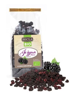 Jeżyna leśna BIO