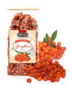 Jarzębina Suszona