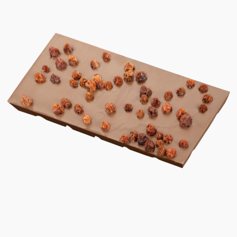 MPelczar - czekolada z owocami jarzębiny_2.png