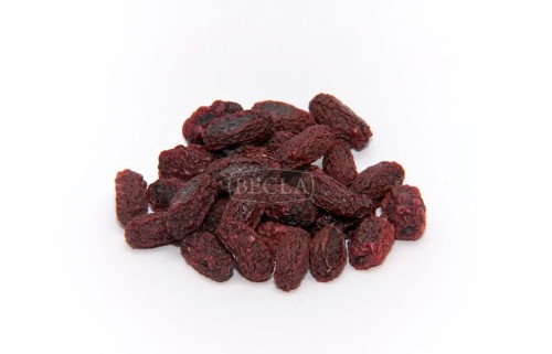 dereń z pestką.jpg