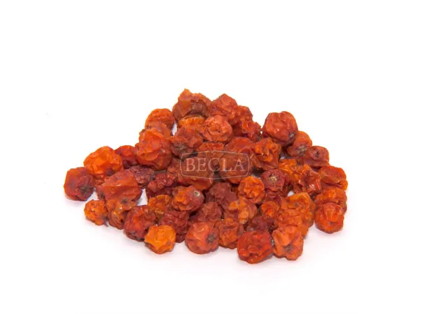 jarzębina suszona.jpg