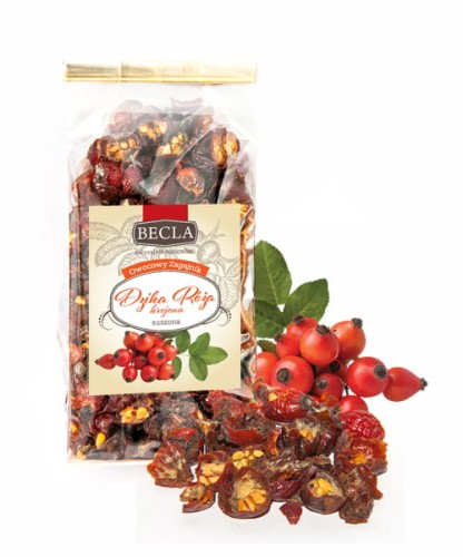 1_dzika róża krojona.jpg