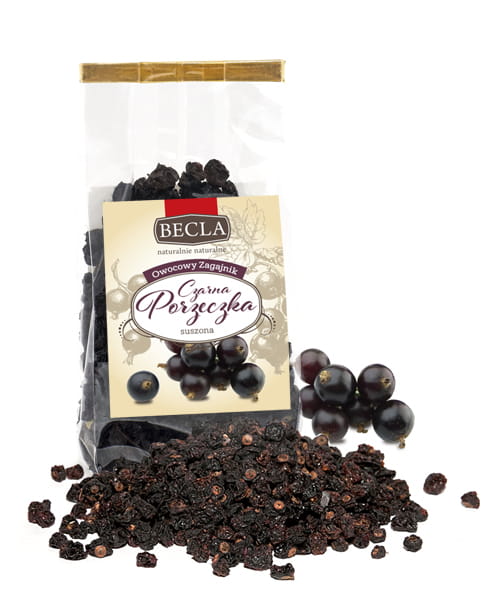1_porzeczka czarna.jpg